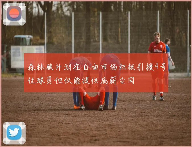 森林狼计划在自由市场积极引援4号位球员但仅能提供底薪合同